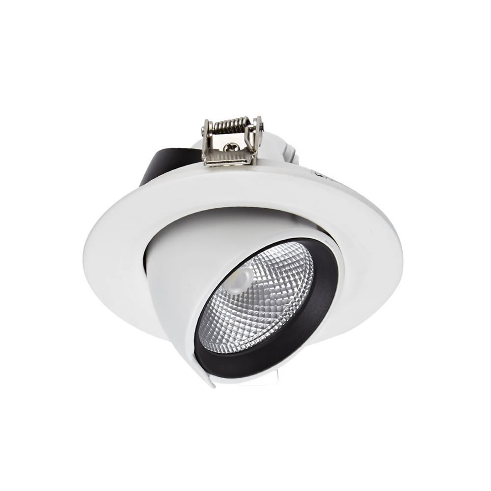 Biard 10W Versenkter LED Einbauspot - Direktional - mit weißer Fassung