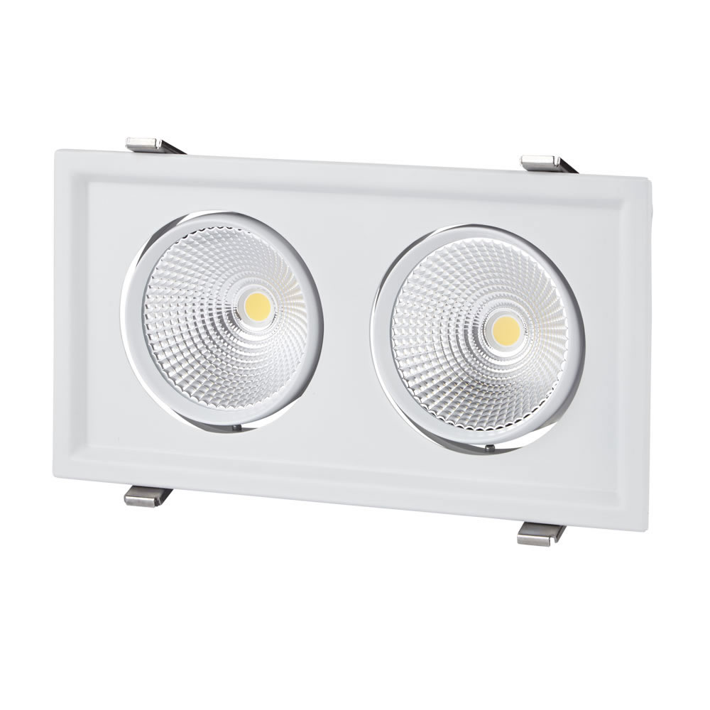 Biard 60W Doppelte Versenkte LED Deckenleuchte - Multi-Direktional