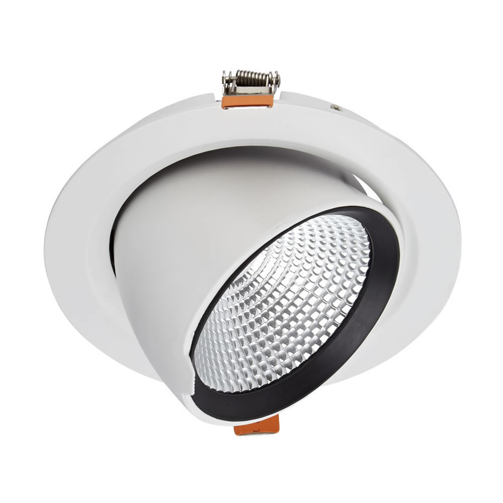 Biard 35W Versenkter LED Einbauspot - Direktional - mit weißer Fassung