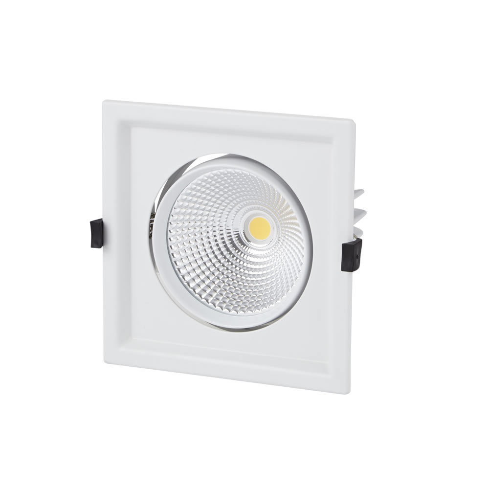 Biard 30W Einfache Versenkte LED Deckenleuchte - Multi-Direktional