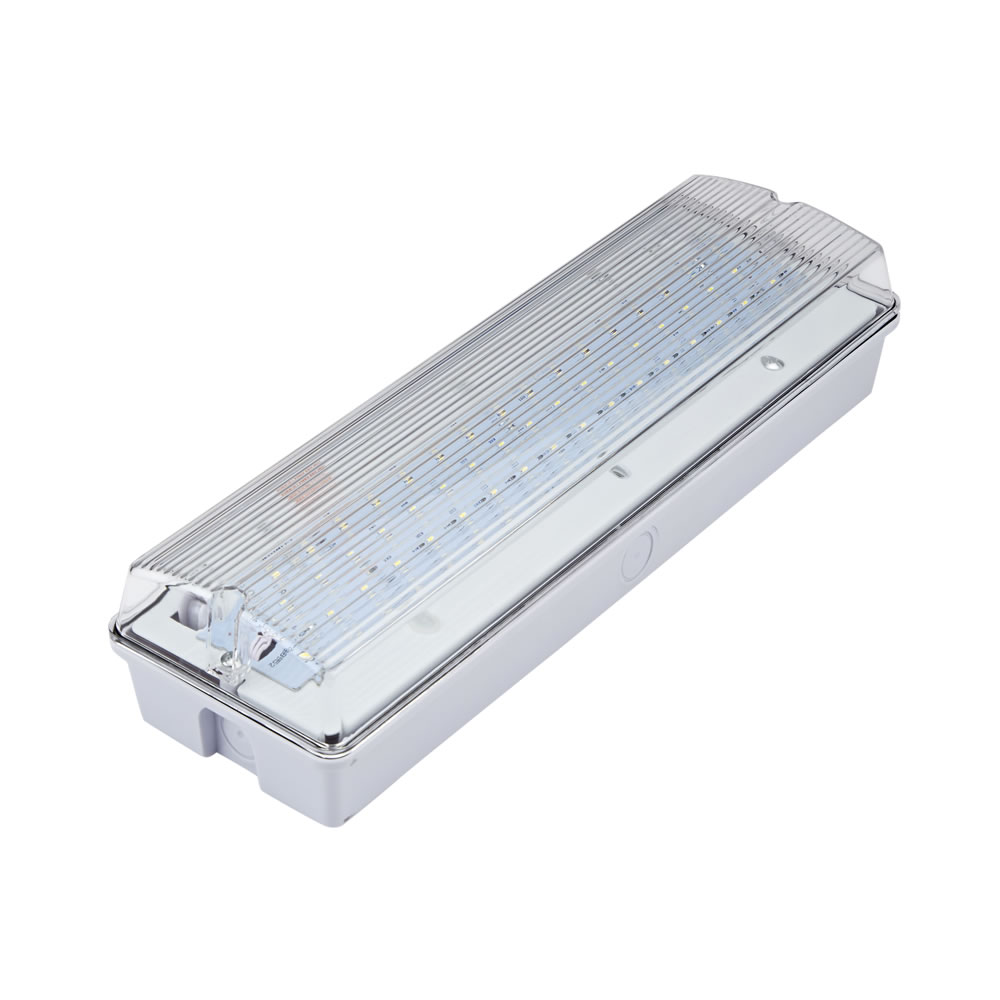 Biard LED Leistenlampe / Notfallleuchte für Dauerschaltung oder Betriebsschaltung