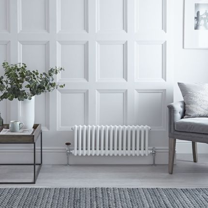 Gliederheizkörper Horizontal 2 Säulen Nostalgie Weiß 300mm x 785mm 541W - Regent