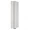 Design Heizkörper Mittelanschluss Vertikal Weiß 1600mm x 590mm 2148W (doppellagig) - Revive Caldae
