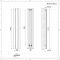 Design Heizkörper Vertikal Einlagig Mittelanschluss - Aluminium Anthrazit 1800mm x 280mm 1038W - Aurora
