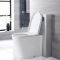 Alswear Stand-WC mit Saru Sanitärmodul H 822mm Weiß