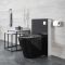 Nox Stand-Toilette mit Saru Sanitärmodul, Schwarz, inkl. Spülkasten