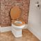 Keramik-Toilette mit wählbarem WC-Sitz - Amersham Richmond