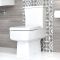 Säulenwaschbecken und WC mit aufgesetztem Spülkasten - Exton