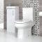 Stand-WC & Stand-Waschtisch Set, Unterschrank B 400mm Farbe wählbar - Covelly & Cluo