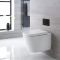 Hänge WC Oval inkl. Unterbauspülkasten 820mm x 400mm und wählbarer Betätigungsplatte - Covelly