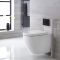 Hänge WC Spülrandlos inkl. Unterputzspülkasten und wählbarer Betätigungsplatte - Ashbury