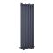 Designer Heizkörper Anthrazit Vertikal 1800mm x 550mm 1638W - Laeto