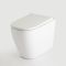 Japanisches Stand-Dusch-WC - Hirayu