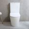 Stand-WC mit aufgesetztem Spülkasten (rund) inkl. Sitz mit Absenkautomatik – Farbe wählbar - Elements