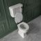 Traditionelles Stand WC erhöht mit erhöhtem Spülkasten inkl. Toilettensitz in Weiß, Farbe des Griffes Wählbar - Richmond