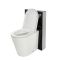 Alswear Stand-WC mit Saru Sanitärmodul H 822mm Schwarz