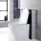 Alswear Stand-WC mit Saru Sanitärmodul H 822mm Schwarz