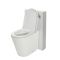 Alswear Stand-WC mit Saru Sanitärmodul H 822mm Weiß