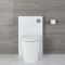 Alswear Stand-WC mit Saru Sanitärmodul H 822mm Weiß