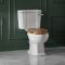 Stand-WC mit aufgesetztem Spülkasten, Sitz wählbarer – Richmond