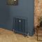 Gusseisen-Heizkörper - Höhe 560mm, Breite auswählbar - Hague Blue 30 von Farrow & Ball - Mercury