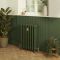 Gusseisen-Heizkörper - Höhe 660mm, Breite auswählbar - Duck Green W55 von Farrow & Ball - Isabel