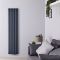 Design Heizkörper Mittelanschluss Vertikal Anthrazit 1600mm x 354mm 1162W (doppellagig) - Revive Caldae