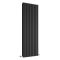Design Heizkörper Vertikal Mattschwarz 1600mm x 590mm 2047W (doppellagig) - Revive