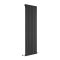 Design Heizkörper Vertikal (einlagig) 1600mm x 560mm - Schwarz - Delta