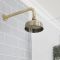 Retro 155mm Duschkopf Rund mit Wandarm, antikes Gold - Elizabeth