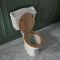 Weiße Stand Toilette mit aufgesetztem Spülkasten und Holzsitz - Ryther
