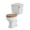 Stand WC mit aufgesetztem Spülkasten und Sitz in Eiche - Regent