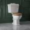 Stand WC mit aufgesetztem Spülkasten und Sitz in Eiche - Regent