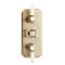 Retro Unterputz Thermostat für 3 Verbraucher - satiniertes Gold - Elizabeth
