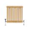 Gliederheizkörper (2-säulig), horizontal | Größe wählbar | Gelb (Autumn Yellow) – Regent