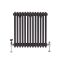 Gliederheizkörper (2-säulig), horizontal | Größe wählbar | Grau (Carbon Grey) – Regent