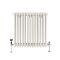Gliederheizkörper (2-säulig), horizontal | Größe wählbar | Weiß (Pearl White) – Regent