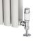 Hudson Reed thermostatisches Chrom-Heizkörperventil mit weißem Griff und wählbaren Adaptern