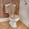 Traditionelle Toilette mit Standwaschbecken - Regent