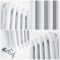 Gliederheizkörper Horizontal 2 Säulen Nostalgie Weiß 300mm x 1505mm 1050W - Regent