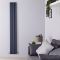 Hudson Reed Revive – Aluminium Design Heizkörper Vertikal (Doppellagig) | 1800mm x 350mm - Anthrazit