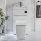 2-in-1-Waschbecken- und WC-Element 500mm x 890mm mit Milton-WC | Farbe wählbar - Cluo