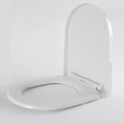 WC-Sitz mit Absenkautomatik, abnehmbar - Weiß - Covelly